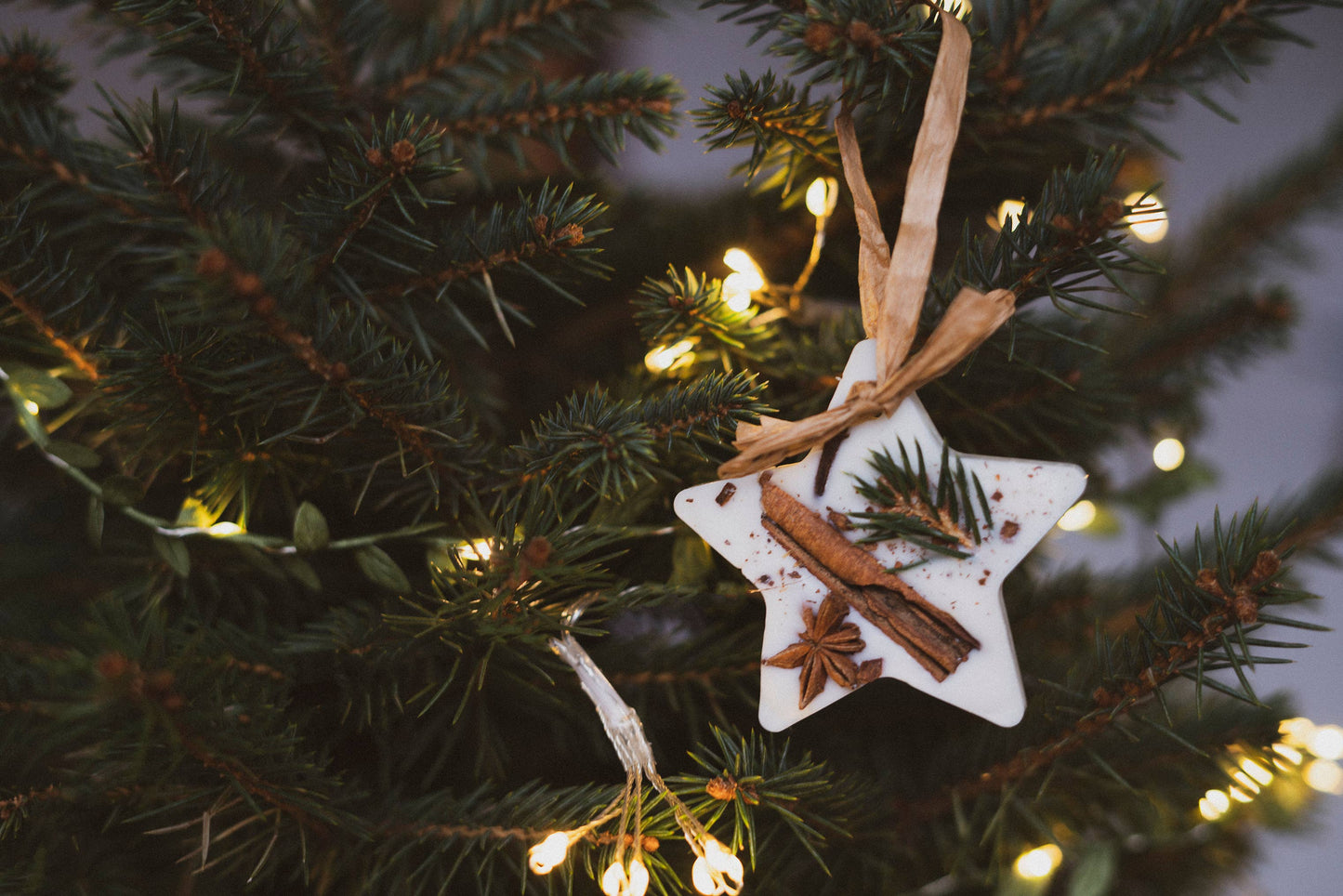 Star Christmas Tree Decoration Wax Melt