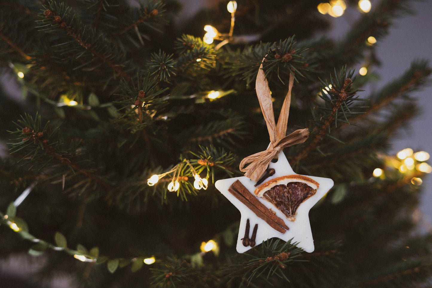 Christmas Tree Decorations: Clementine & Clove Scent Wax Melts - 3 Pack