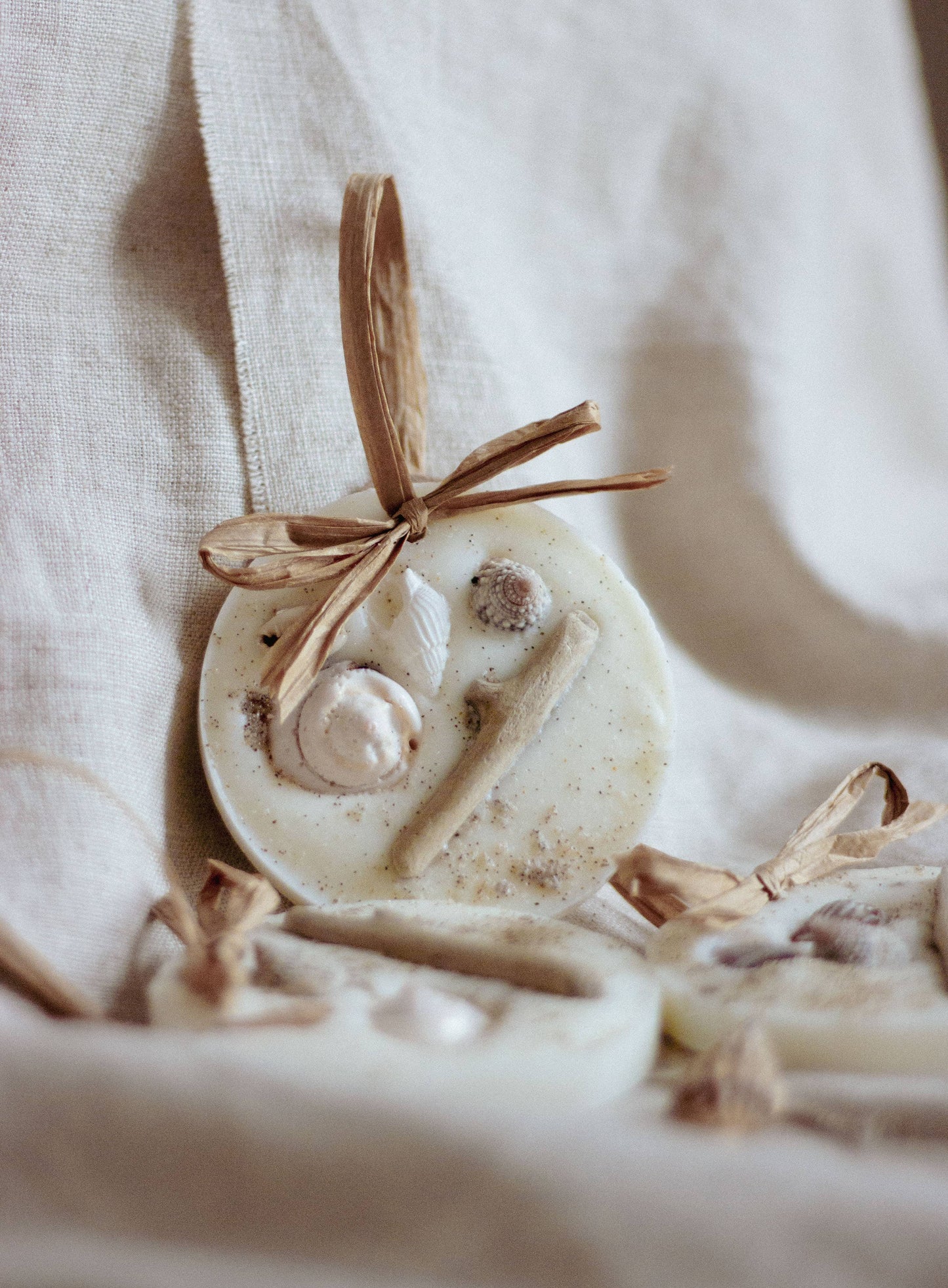 Sea Salt & Driftwood Wax Melt Decoration