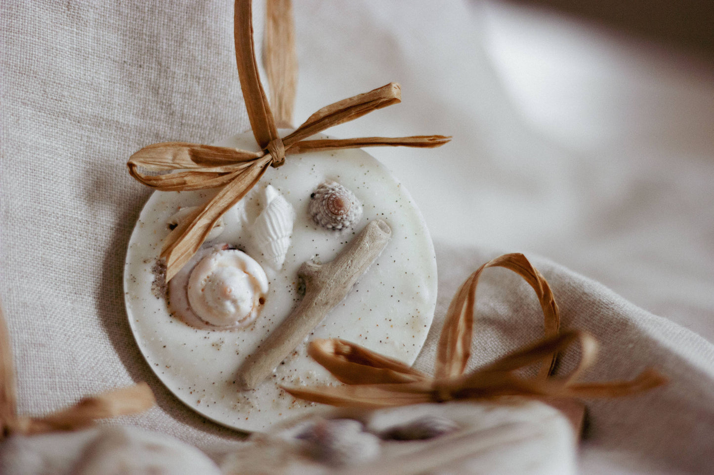 Sea Salt & Driftwood Wax Melt Decoration