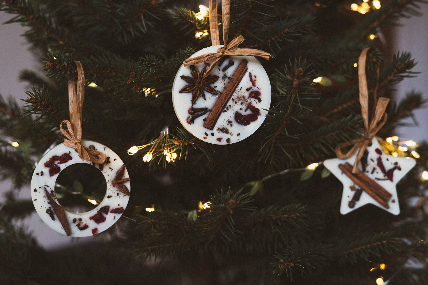 Christmas Tree Decoration: Cranberry Orange and Cinnamon Star Wax Melt