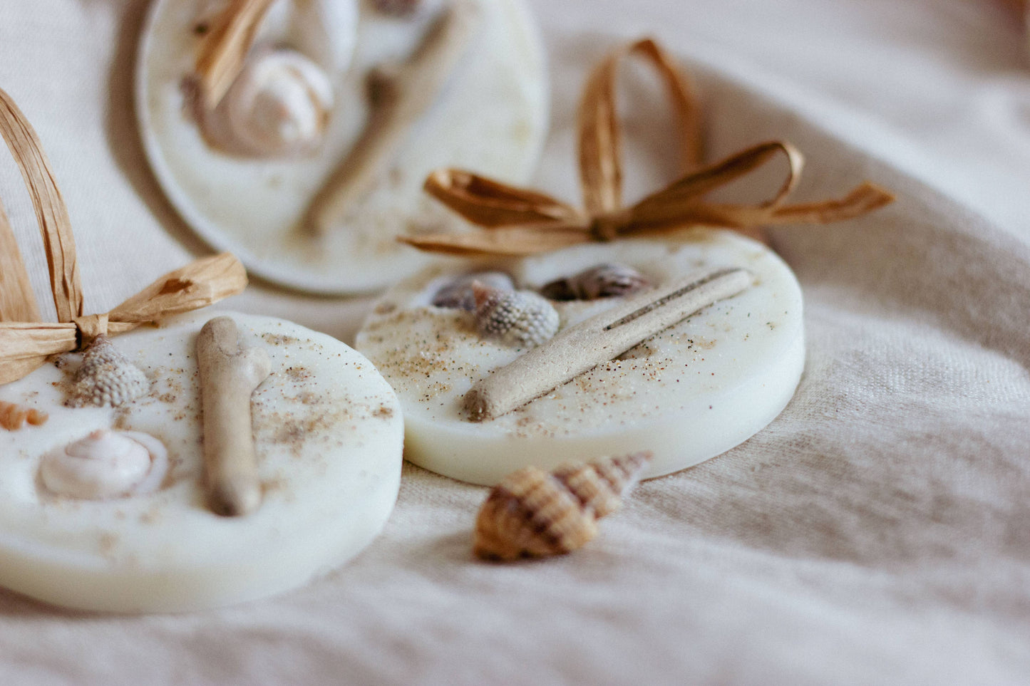 Sea Salt & Driftwood Wax Melt Decoration