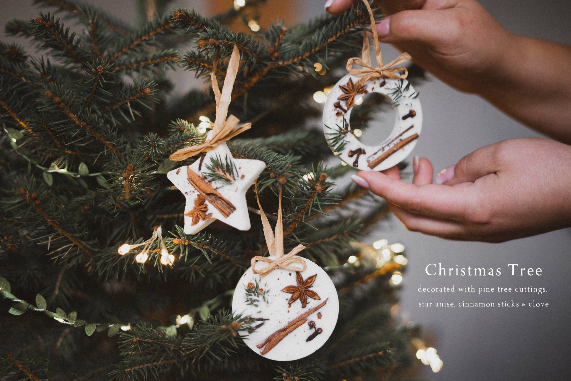 Christmas Tree Wax Melts decorated with Pine Tree Cuttings, Star Anise, Cinnamon Sticks and Cloves. Hanging in the tree.