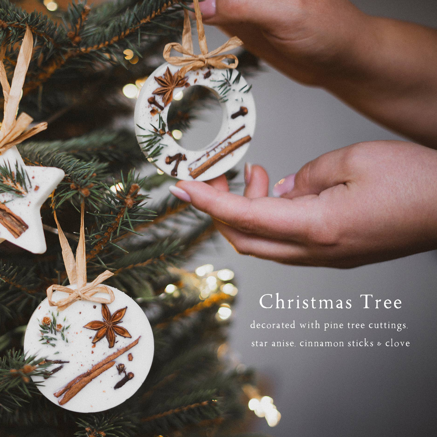 Christmas Tree Decorations: Christmas Tree Scent Wax Melts - 3 Pack