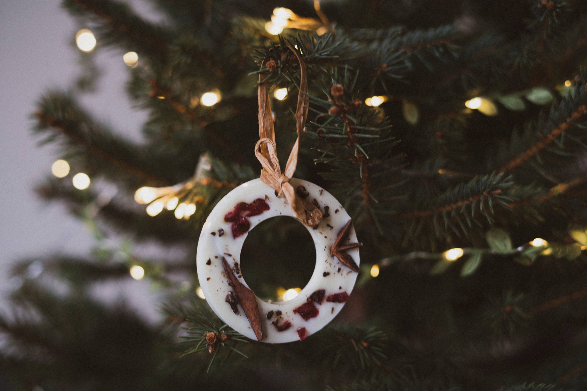 Christmas Wreath Decoration with Cranberries, Star Anise, Cinnamon