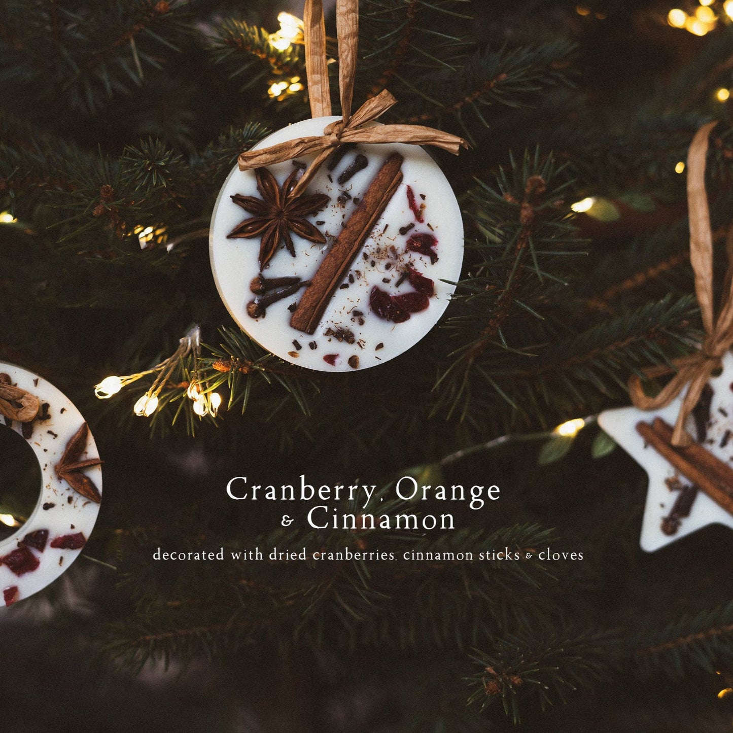 Cranberry, Orange and Cinnamon Christmas Tree Decorations Set of 3
