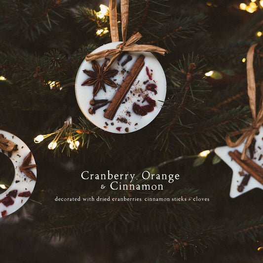 Cranberry, Orange and Cinnamon Christmas Tree Decorations Set of 3