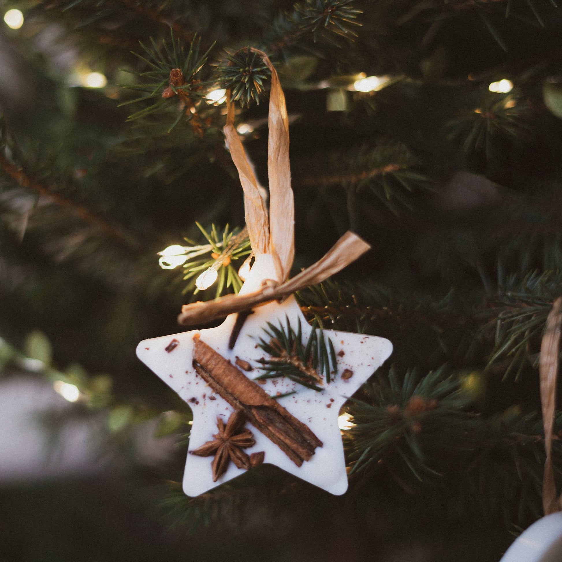 Handcrafted Star Wax Melt Christmas Tree Decoration