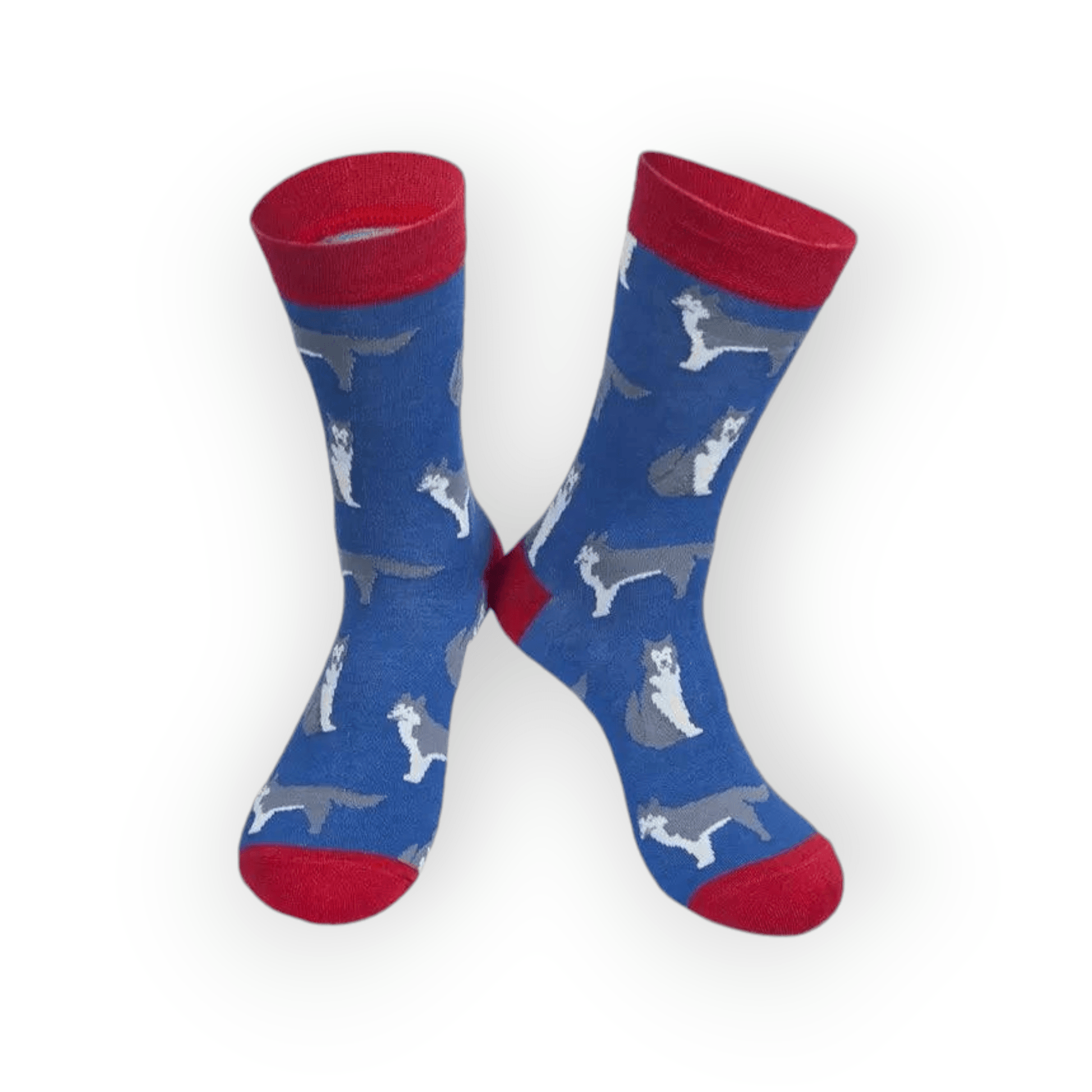 Men's Husky Dog Blue Bamboo Socks with red accents