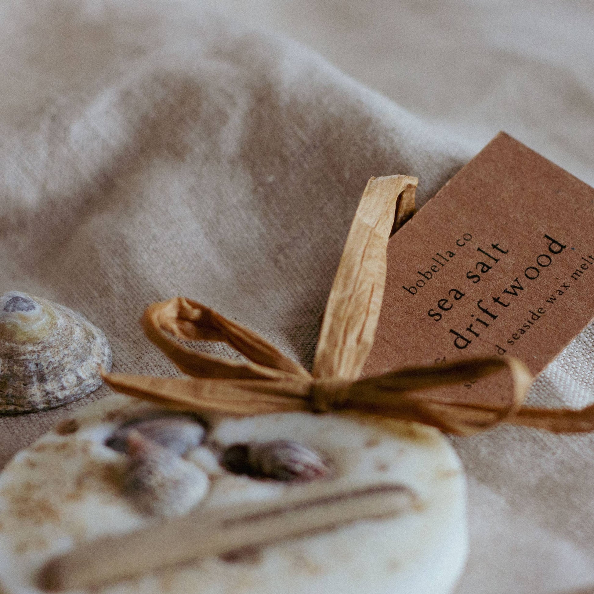 Beach and Coastal Decoration Wax Melt
