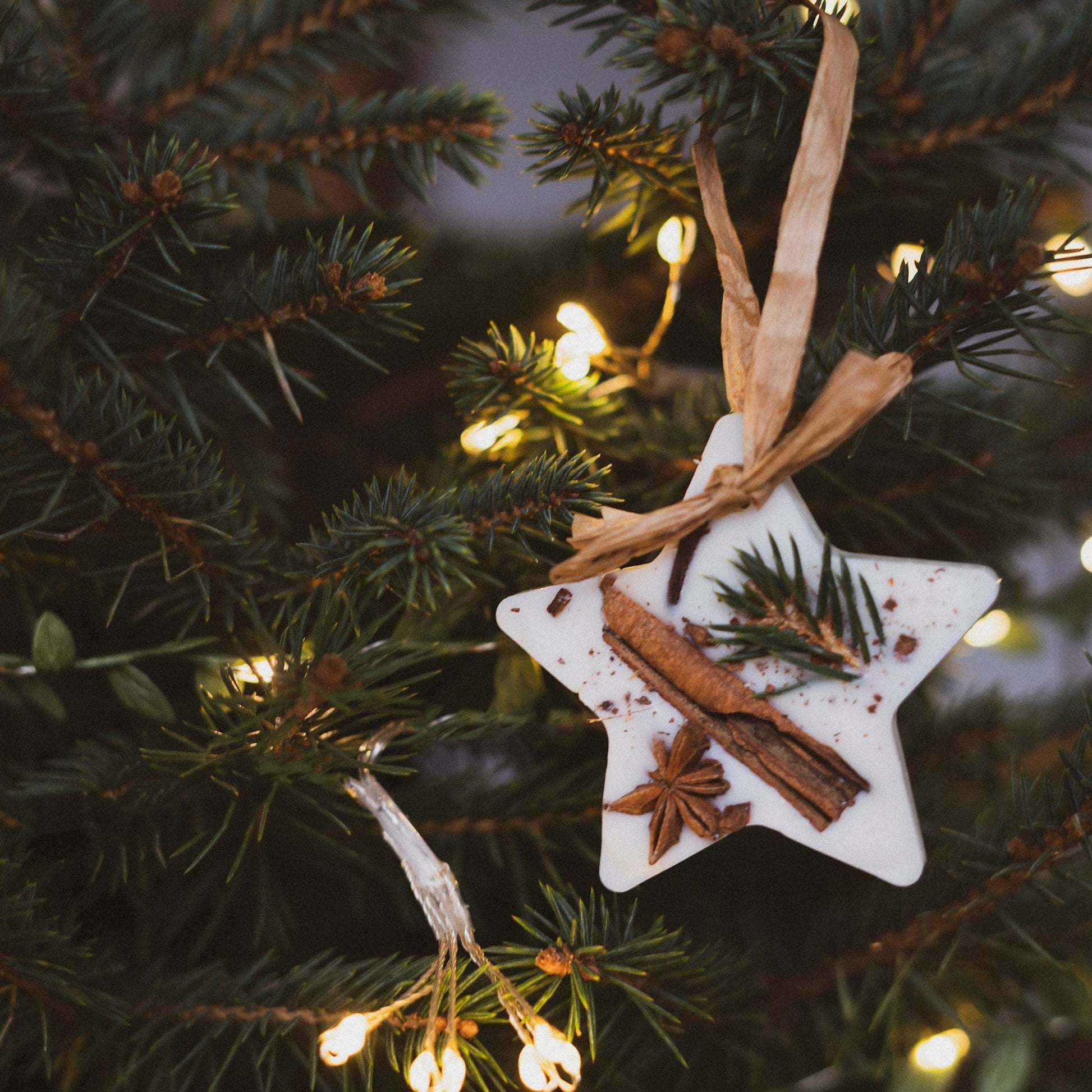 Handmade Star Wax Melt Christmas Tree Decoration