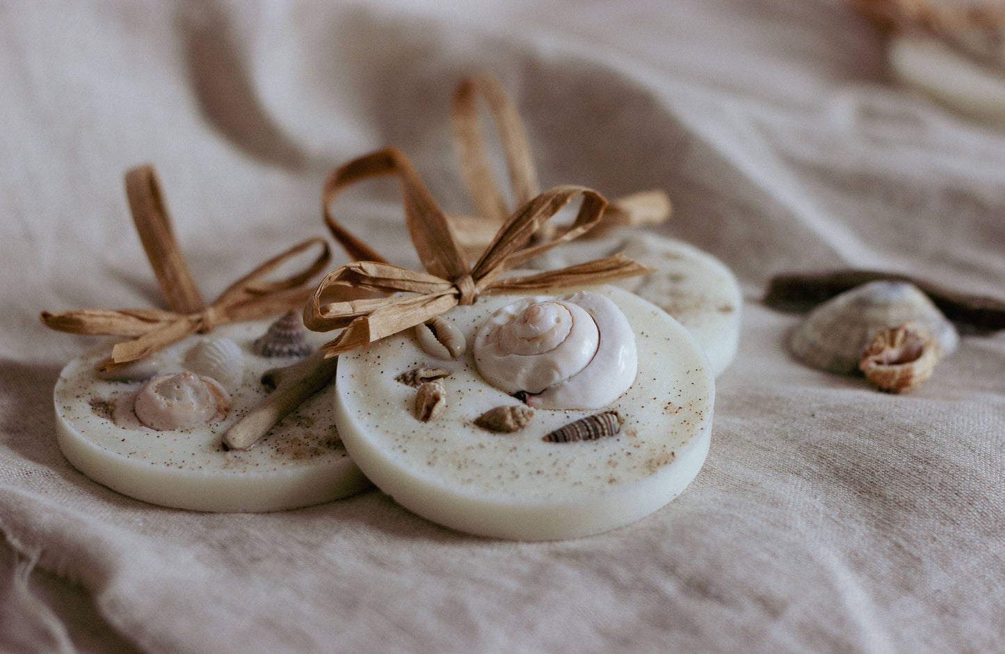 Sea Salt & Driftwood Wax Melt Decoration